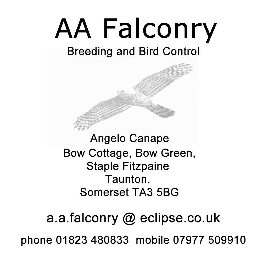 AA Falconry